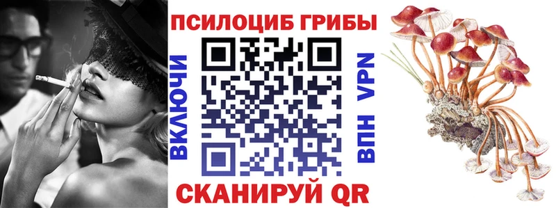 Псилоцибиновые грибы ЛСД  Ипатово 