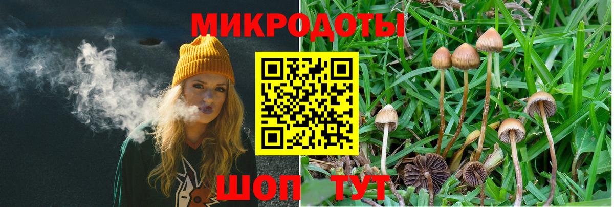 Псилоцибиновые грибы ЛСД  Вход с VPN  Ипатово 
